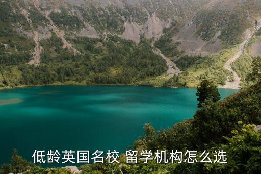 低龄英国名校 留学机构怎么选