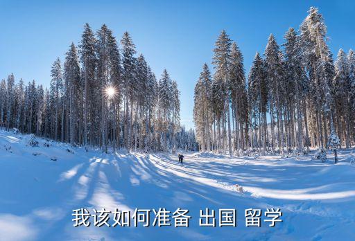 我该如何准备 出国 留学