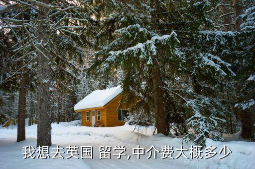 我想去英国 留学,中介费大概多少