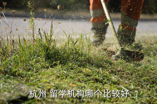 杭州 留学机构哪个比较好