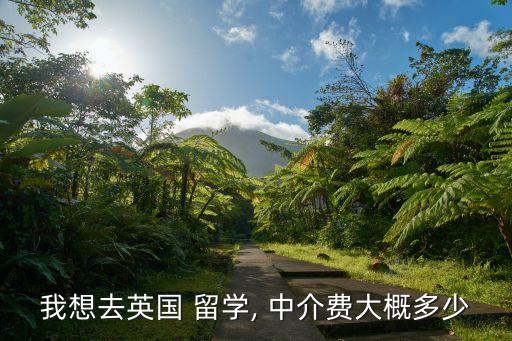 我想去英国 留学, 中介费大概多少