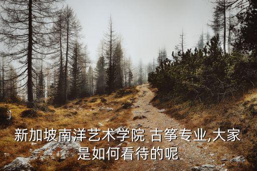 新加坡南洋艺术学院 古筝专业,大家是如何看待的呢
