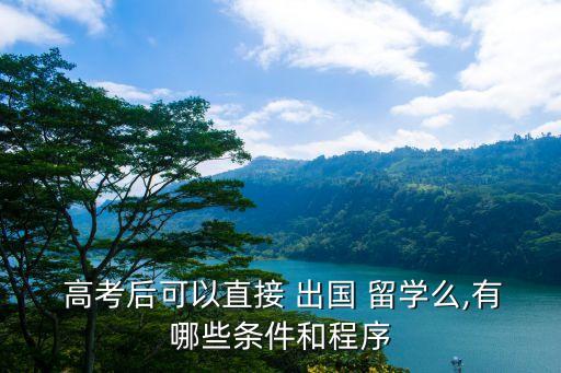  高考后可以直接 出国 留学么,有哪些条件和程序