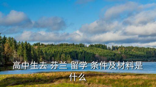 出国申请芬兰留学条件,申请芬兰留学需要什么证明材料