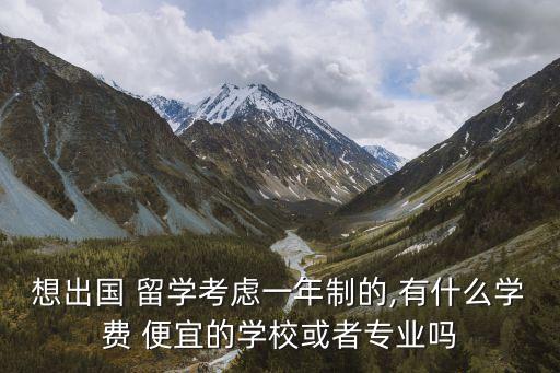 想出国 留学考虑一年制的,有什么学费 便宜的学校或者专业吗