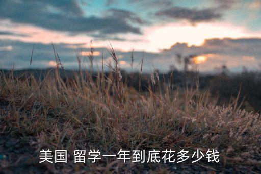 美国 留学一年到底花多少钱