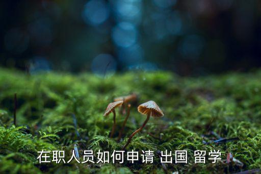 在职人员如何申请 出国 留学