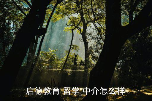 启德教育 留学 中介怎么样