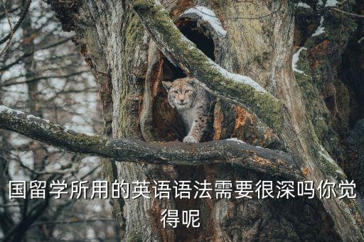 国留学所用的英语语法需要很深吗你觉得呢